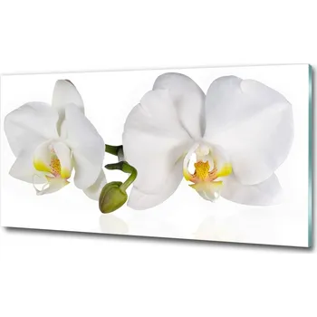 Obraz Foto obraz skleněný horizontální Orchidej