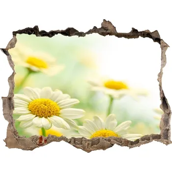 Fototapeta Samolepící díra nálepka Sedmikrásky