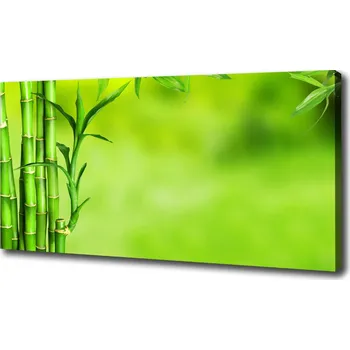 Obraz Foto obraz na plátně Bambus