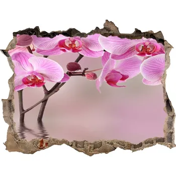 Fototapeta Samolepící díra na stěnu Růžová orchidej