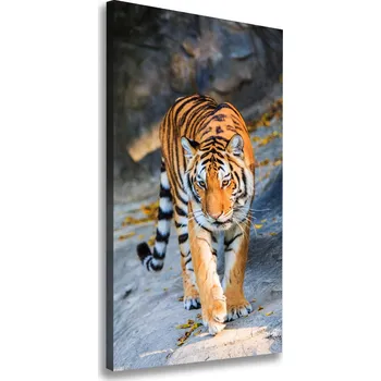 Obraz Vertikální Moderní fotoobraz canvas na rámu Tygr
