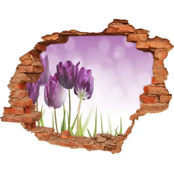 Fototapeta Samolepící díra nálepka Fialové tulupány