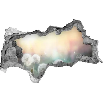 Fototapeta Samolepící díra nálepka Pole pampelišek