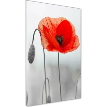 Obraz Vertikální Foto obraz sklo tvrzené Polné máky