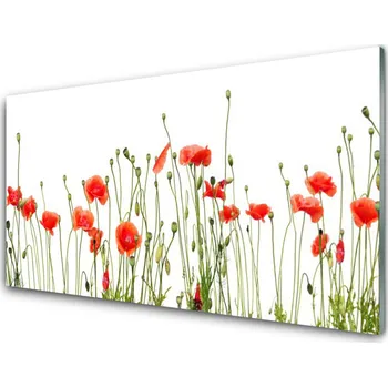 Obraz Obraz na skle Máky Rostlina Příroda 125x50 cm 2 Přívěsky
