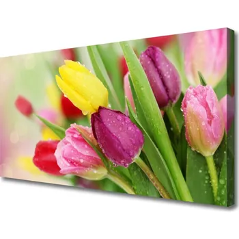 Obraz Obraz na plátně Tulipány Květiny Rostlina 125x50 cm