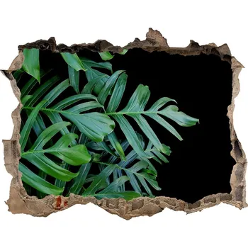 Fototapeta Samolepící nálepka fototapeta Monstera