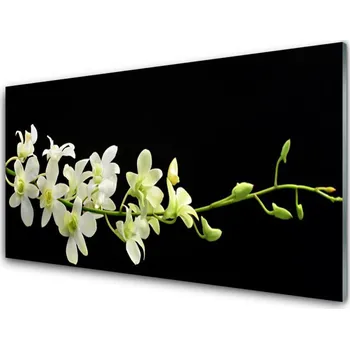 Obraz Obraz na skle Květiny Rostlina Příroda 140x70 cm 4 Přívěsky