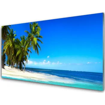Obraz Obraz na skle Palma Strom Moře Krajina 100x50 cm 2 Přívěsky