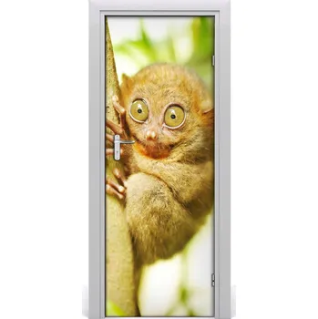 Fototapeta Tulup.cz Samolepící fototapeta na dveře Nártoun celebeský 95x205 cm doorsticker-f-29559454