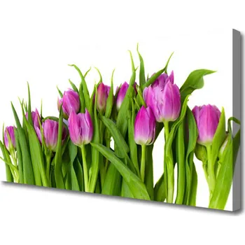 Obraz Obraz na plátně Tulipány Květiny Rostlina 120x60 cm
