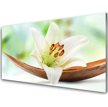 Obraz Obraz na skle Květ Rostlina Příroda 125x50 cm 2 Přívěsky