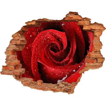 Fototapeta Samolepící nálepka na zeď Kapky na růži