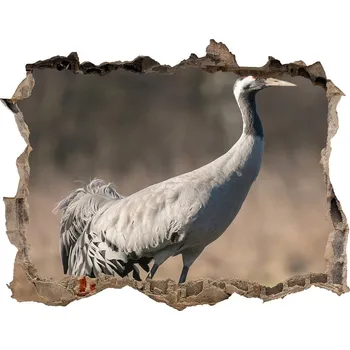 Fototapeta Díra 3D fototapeta nálepka Volavka