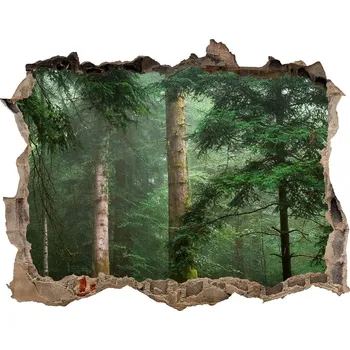 Fototapeta Díra 3D foto tapeta nálepka Mlha v lese