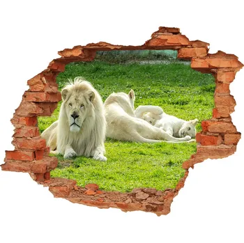 Fototapeta Samolepící díra nálepka Béžoví lvi