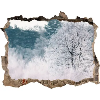 Fototapeta Díra 3D ve zdi nálepka Stromy zima