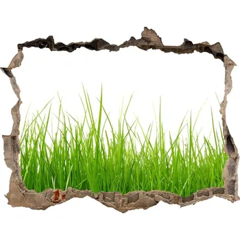 Fototapeta Samolepící díra nálepka beton Tráva