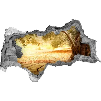 Fototapeta Nálepka fototapeta 3D výhled Olivovník