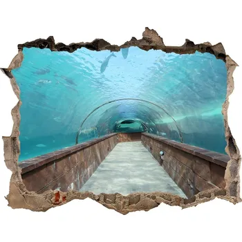 Fototapeta Fototapeta díra na zeď 3D Tunel akvárium