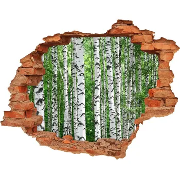 Fototapeta Samolepící díra nálepka beton Břízy