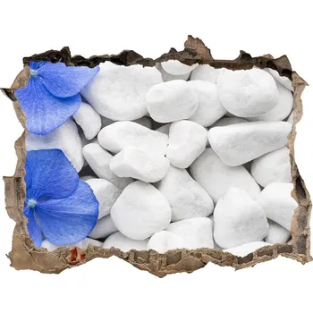 Fototapeta Samolepící díra nálepka Hortenzie