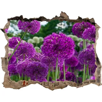 Fototapeta Nálepka 3D díra samolepící Květy česneku