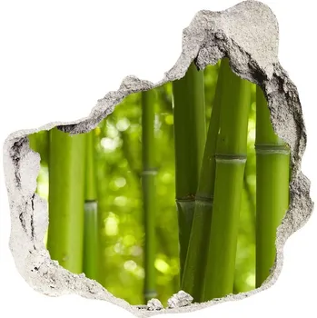Fototapeta Samolepící nálepka fototapeta Bambus