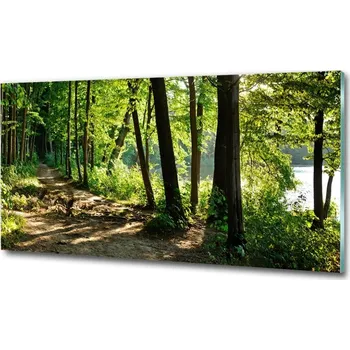 Obraz Fotoobraz na skle Stezka na louce