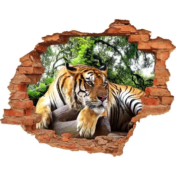Fototapeta Díra 3D fototapeta na stěnu Tygr na skále