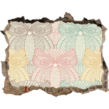 Fototapeta Díra 3D fototapeta nálepka Sovy