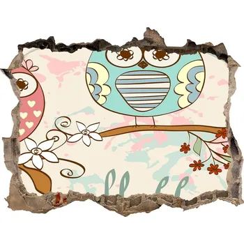 Fototapeta Fototapeta díra na zeď Sovy