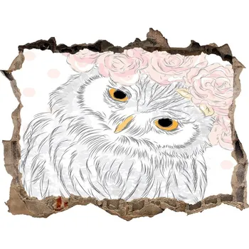 Fototapeta Díra 3D fototapeta na stěnu Sova na věnečku