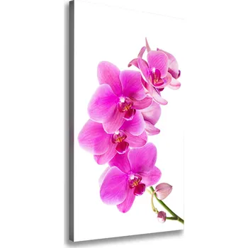 Obraz Vertikální Foto obraz na plátně Růžová orchidej