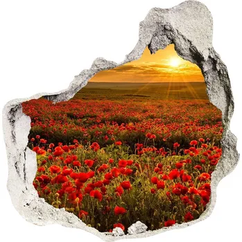 Fototapeta Nálepka fototapeta 3D výhled Pole máků