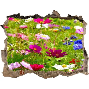 Fototapeta Samolepící nálepka fototapeta Polní květiny