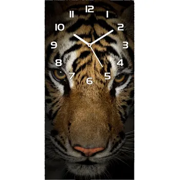 Hodiny Moderní hodiny nástěnné Tygr