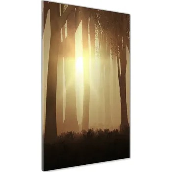 Obraz Moderní akrylový fotoobraz vertikální Mlha v lese
