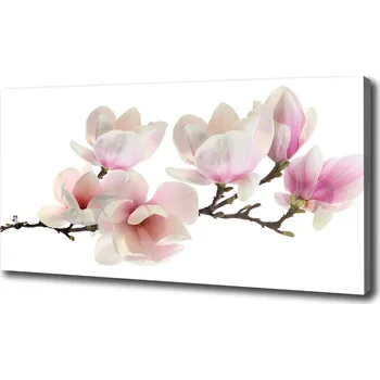 Obraz Foto obraz na plátně Magnólie