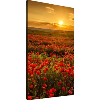 Obraz Vertikální Vertikální Foto obraz na plátně do obýváku Pole máků