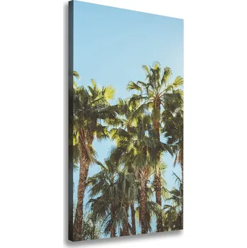 Obraz Vertikální Foto obraz tištěný na plátně Palmy