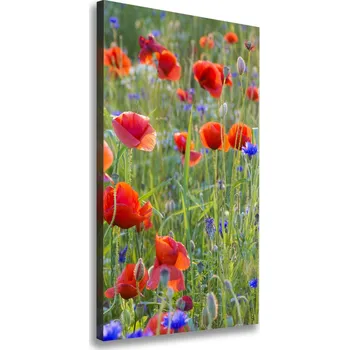Obraz Vertikální Vertikální Foto obraz na plátně do obýváku Polné máky