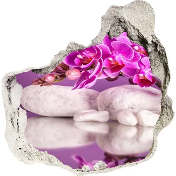 Fototapeta Samolepící díra nálepka Růžová orchidej