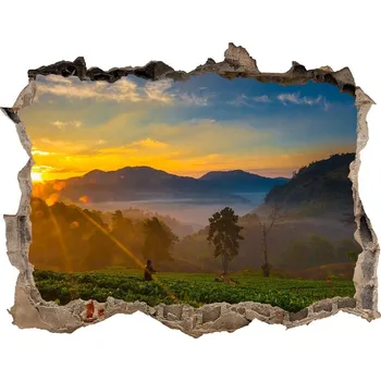 Fototapeta Díra 3D ve zdi nálepka Plantáž čaje