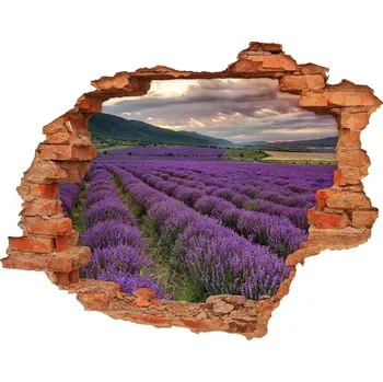 Fototapeta Nálepka fototapeta 3D výhled Pole levandule