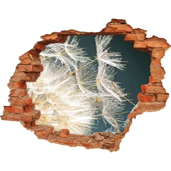 Fototapeta Samolepící nálepka Semena pampelišky