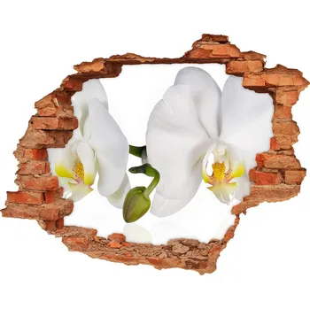 Fototapeta Samolepící nálepka fototapeta Orchidej