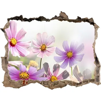 Fototapeta Samolepící díra na stěnu Květiny na louce