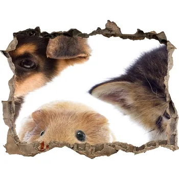 Fototapeta Díra 3D fototapeta nálepka Domácí zvířata