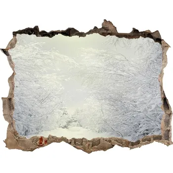 Fototapeta Samolepící nálepka Pěkný les zima